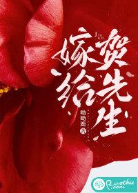 嫁给贺先生