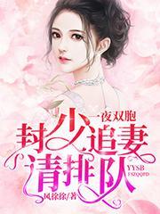 一夜双胞：封少追妻请排队